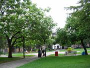 Plac ZWM na starych zdjęciach: Od katastrofy budowlanej do nowego oblicza bielskiego Rynku