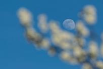 Kwiecień – miesiąc (nie tylko) żartów i prastarych wierzeń