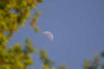 Kwiecień – miesiąc (nie tylko) żartów i prastarych wierzeń