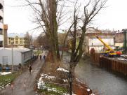 Od fabryki Finex do Galerii Sfera II: Przemiana Bielska-Białej na archiwalnych zdjęciach