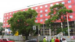 Od fabryki Finex do Galerii Sfera II: Przemiana Bielska-Białej na archiwalnych zdjęciach