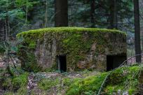 Kozieńskie kochbunkry: Świadectwo gorzkiego lata 1944 roku