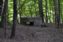 Kozieńskie kochbunkry: Świadectwo gorzkiego lata 1944 roku