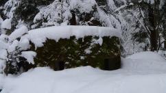 Kozieńskie kochbunkry: Świadectwo gorzkiego lata 1944 roku