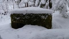 Kozieńskie kochbunkry: Świadectwo gorzkiego lata 1944 roku