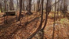 Kozieńskie kochbunkry: Świadectwo gorzkiego lata 1944 roku