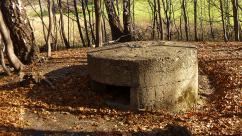 Kozieńskie kochbunkry: Świadectwo gorzkiego lata 1944 roku