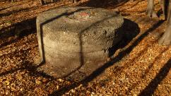 Kozieńskie kochbunkry: Świadectwo gorzkiego lata 1944 roku