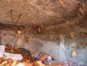 Kozieńskie kochbunkry: Świadectwo gorzkiego lata 1944 roku