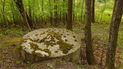 Kozieńskie kochbunkry: Świadectwo gorzkiego lata 1944 roku