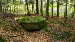 Kozieńskie kochbunkry: Świadectwo gorzkiego lata 1944 roku