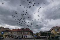 Serce Bielskiej Tradycji: Lody Eskimo i Przyszłość Placu Wojska Polskiego