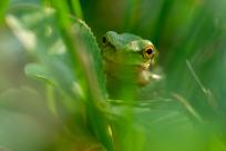 Oko w oko z widzeniem: Niezwykły świat percepcji i obrazu