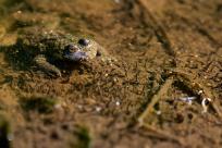 Oko w oko z widzeniem: Niezwykły świat percepcji i obrazu