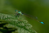 Oko w oko z widzeniem: Niezwykły świat percepcji i obrazu