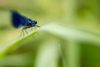 Oko w oko z widzeniem: Niezwykły świat percepcji i obrazu