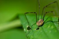 Oko w oko z widzeniem: Niezwykły świat percepcji i obrazu