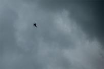 Dni NATO w Ostrawie & Dni Sił Powietrznych Armii RC 2023, świat technologii i militariów