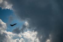 Dni NATO w Ostrawie & Dni Sił Powietrznych Armii RC 2023, świat technologii i militariów