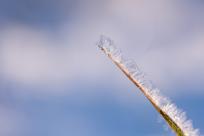 Królestwo zimy: fenomen śniegu i zmieniający się klimat Bielska-Białej