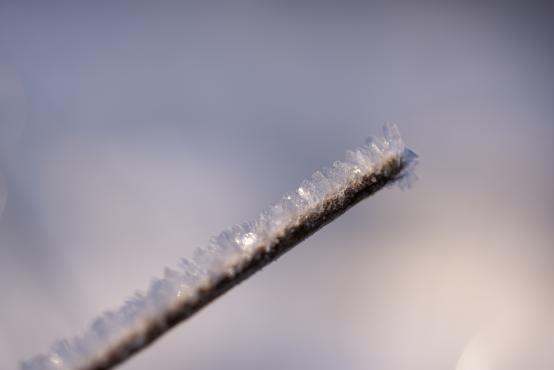 Coraz rzadsze zjawisko atmosferyczne: śnieg