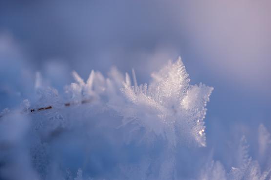 Coraz rzadsze zjawisko atmosferyczne: śnieg