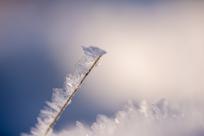 Królestwo zimy: fenomen śniegu i zmieniający się klimat Bielska-Białej