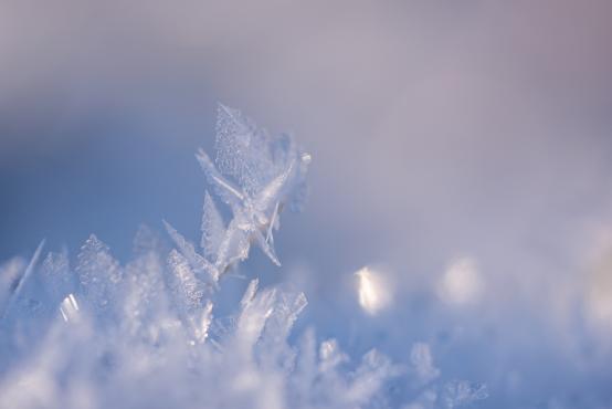 Coraz rzadsze zjawisko atmosferyczne: śnieg