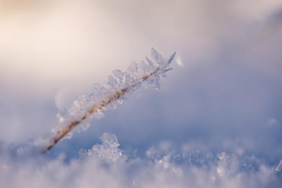 Coraz rzadsze zjawisko atmosferyczne: śnieg