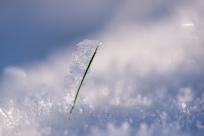 Królestwo zimy: fenomen śniegu i zmieniający się klimat Bielska-Białej