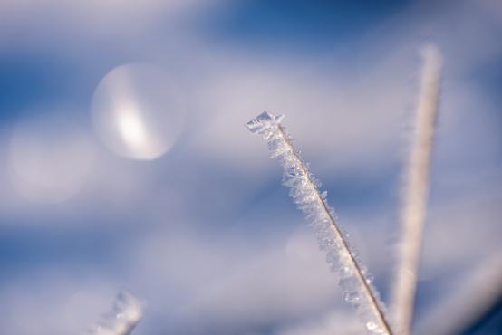 Coraz rzadsze zjawisko atmosferyczne: śnieg