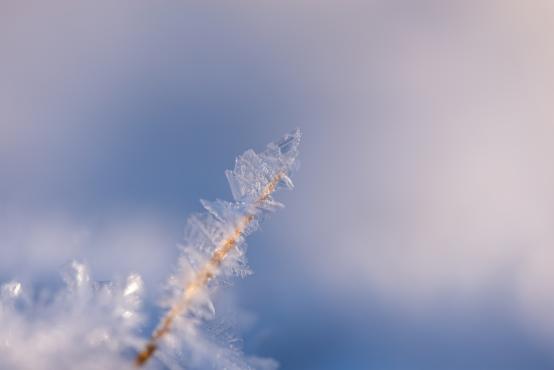 Coraz rzadsze zjawisko atmosferyczne: śnieg