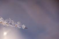 Królestwo zimy: fenomen śniegu i zmieniający się klimat Bielska-Białej