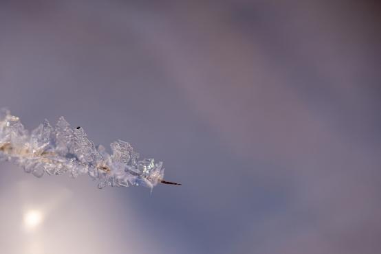 Coraz rzadsze zjawisko atmosferyczne: śnieg