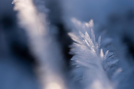 Coraz rzadsze zjawisko atmosferyczne: śnieg