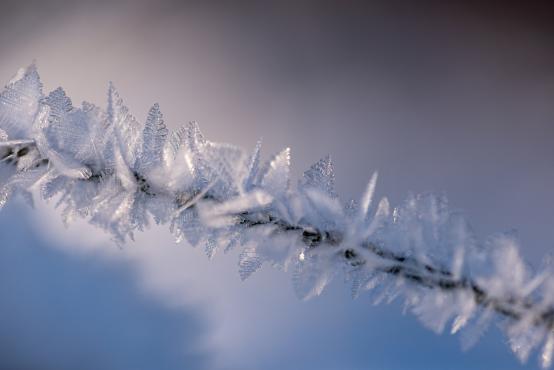 Coraz rzadsze zjawisko atmosferyczne: śnieg