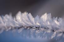 Królestwo zimy: fenomen śniegu i zmieniający się klimat Bielska-Białej