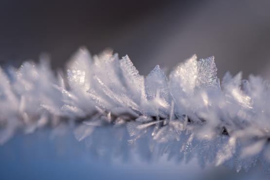 Coraz rzadsze zjawisko atmosferyczne: śnieg