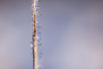 Królestwo zimy: fenomen śniegu i zmieniający się klimat Bielska-Białej