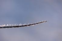 Królestwo zimy: fenomen śniegu i zmieniający się klimat Bielska-Białej