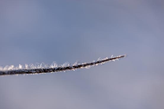 Coraz rzadsze zjawisko atmosferyczne: śnieg