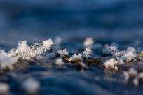 Królestwo zimy: fenomen śniegu i zmieniający się klimat Bielska-Białej