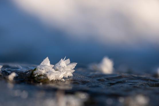 Coraz rzadsze zjawisko atmosferyczne: śnieg