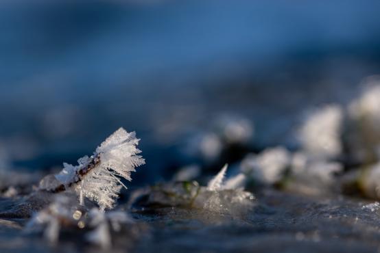 Coraz rzadsze zjawisko atmosferyczne: śnieg