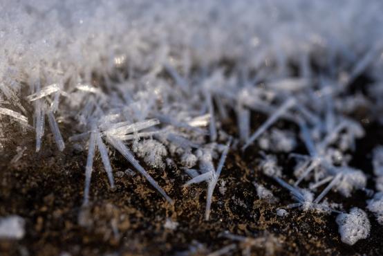 Coraz rzadsze zjawisko atmosferyczne: śnieg