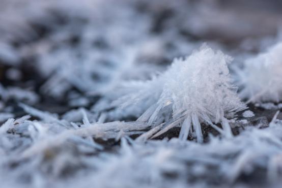 Coraz rzadsze zjawisko atmosferyczne: śnieg