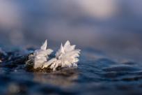 Królestwo zimy: fenomen śniegu i zmieniający się klimat Bielska-Białej