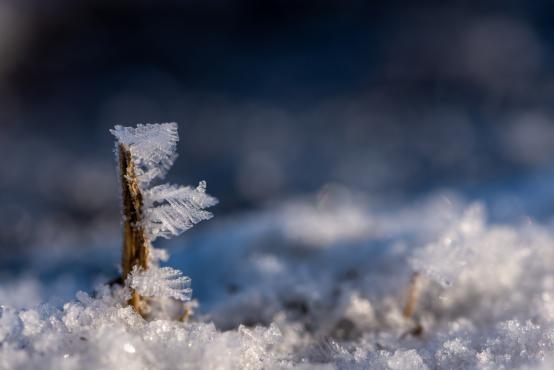 Coraz rzadsze zjawisko atmosferyczne: śnieg