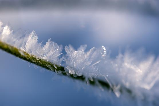 Coraz rzadsze zjawisko atmosferyczne: śnieg