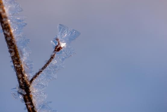 Coraz rzadsze zjawisko atmosferyczne: śnieg